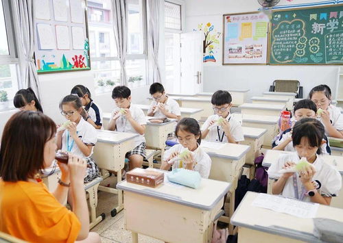 玉环 “树导向、列清单、强保障”加快构建城乡一体化课后服务新格局