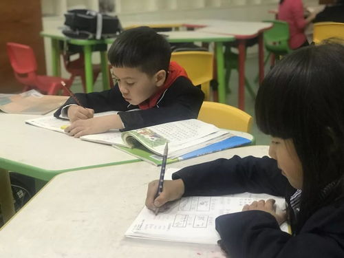 中阮声里乐学趣，课后服务暖人心